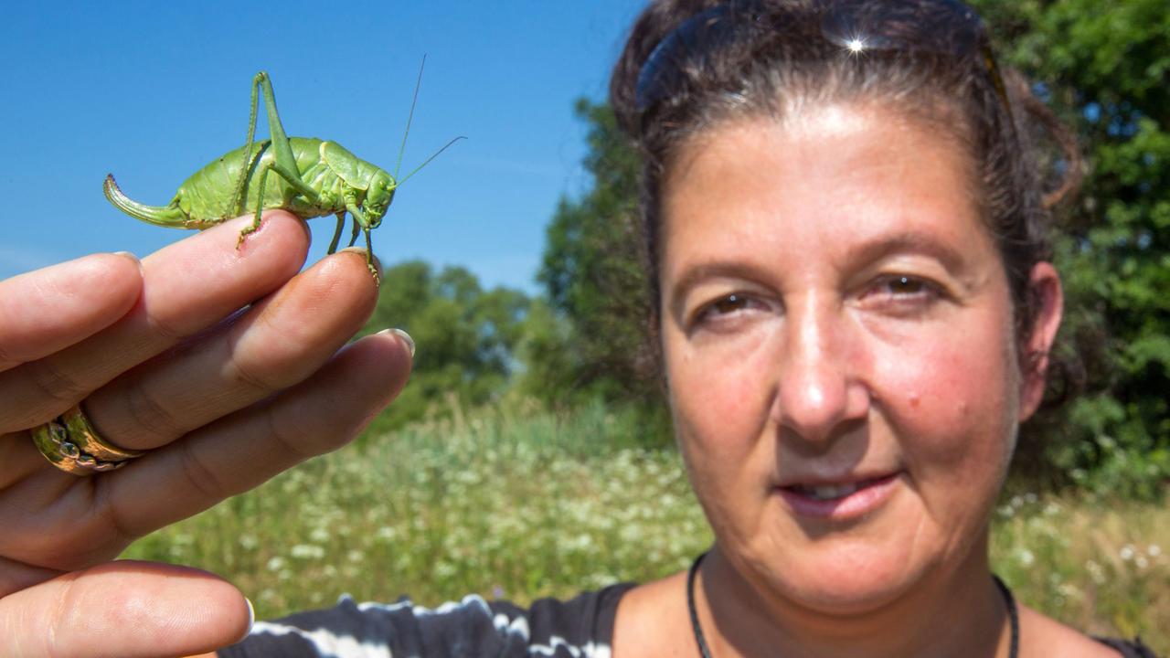 Liana Geidezis, Leiterin des BUND-Projektes Grünes Band Deutschland, mit einer Wanstschrecke, die vom Aussterben bedroht war.