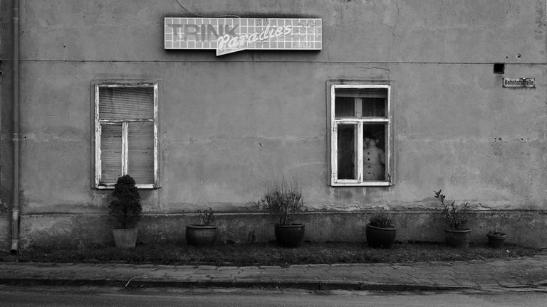 Im Erdgeschoßfester einer Hausfassade, mit dem Schild "Trink Paradies", steht eine Schneemannfigur. Im Erdgeschoßfester einer Hausfassade, mit dem Schild "Trink Paradies", steht eine Schneemannfigur.