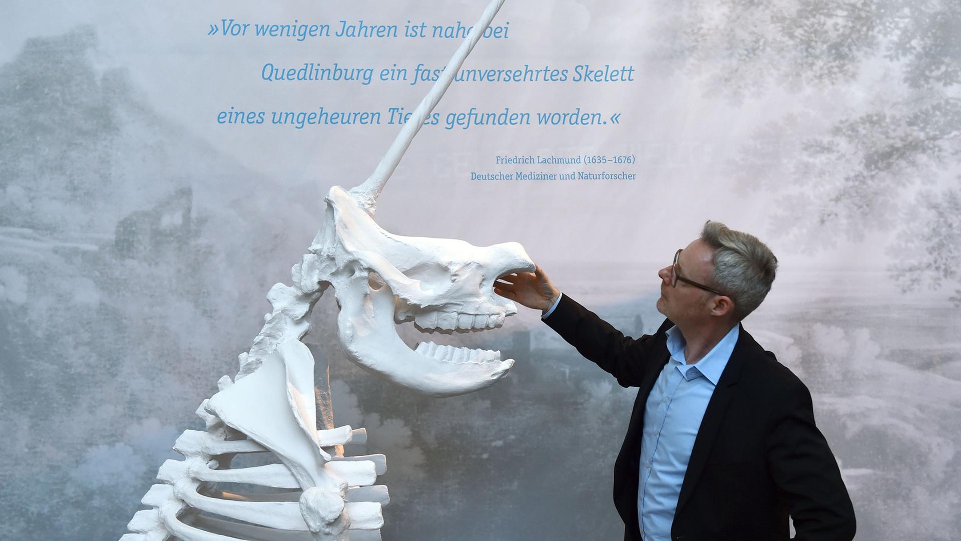 Josef Mühlenbrock, Direktor des LWL Museums, steht in der Ausstellung «Irrtümer & Fälschungen der Archäologie» neben einer dreidimensionalen Rekonstruktion des Quedlinburger Einhorns. Josef Mühlenbrock, Direktor des LWL Museums, steht in der Ausstellung «Irrtümer & Fälschungen der Archäologie» neben einer dreidimensionalen Rekonstruktion des Quedlinburger Einhorns.