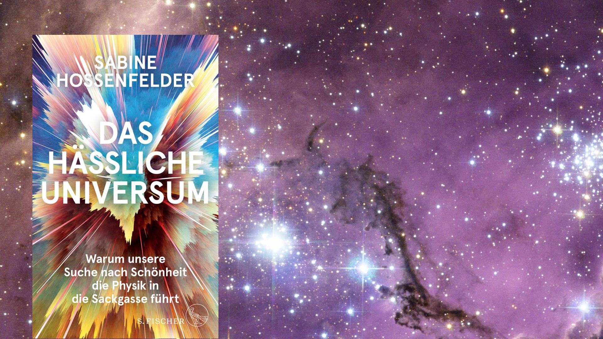 Das Cover des Buchs "Das hässliche Universum" und dahinter eine Aufnahme des Gas- und Staubnebels LHA 120-N 11 Das Cover des Buchs "Das hässliche Universum" und dahinter eine Aufnahme des Gas- und Staubnebels LHA 120-N 11