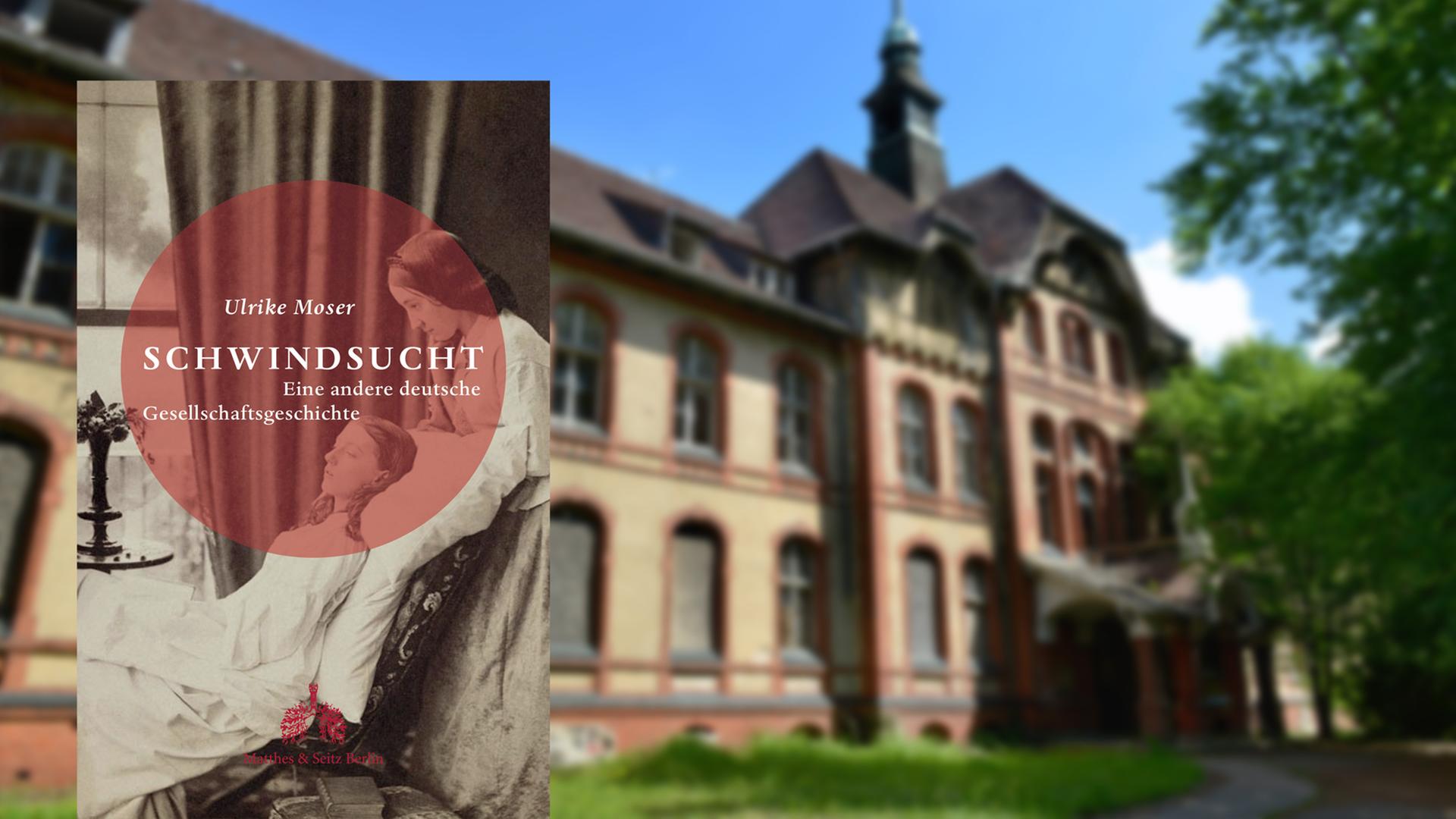 Buchcover Ulrike Moser: "Schwindsucht" Buchcover Ulrike Moser: "Schwindsucht"