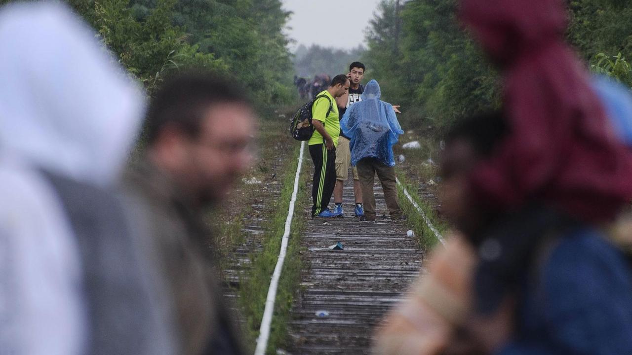 Flüchtlingen an der ungarisch-serbischen Grenze nahe dem Ort Röszke. Flüchtlingen an der ungarisch-serbischen Grenze nahe dem Ort Röszke.