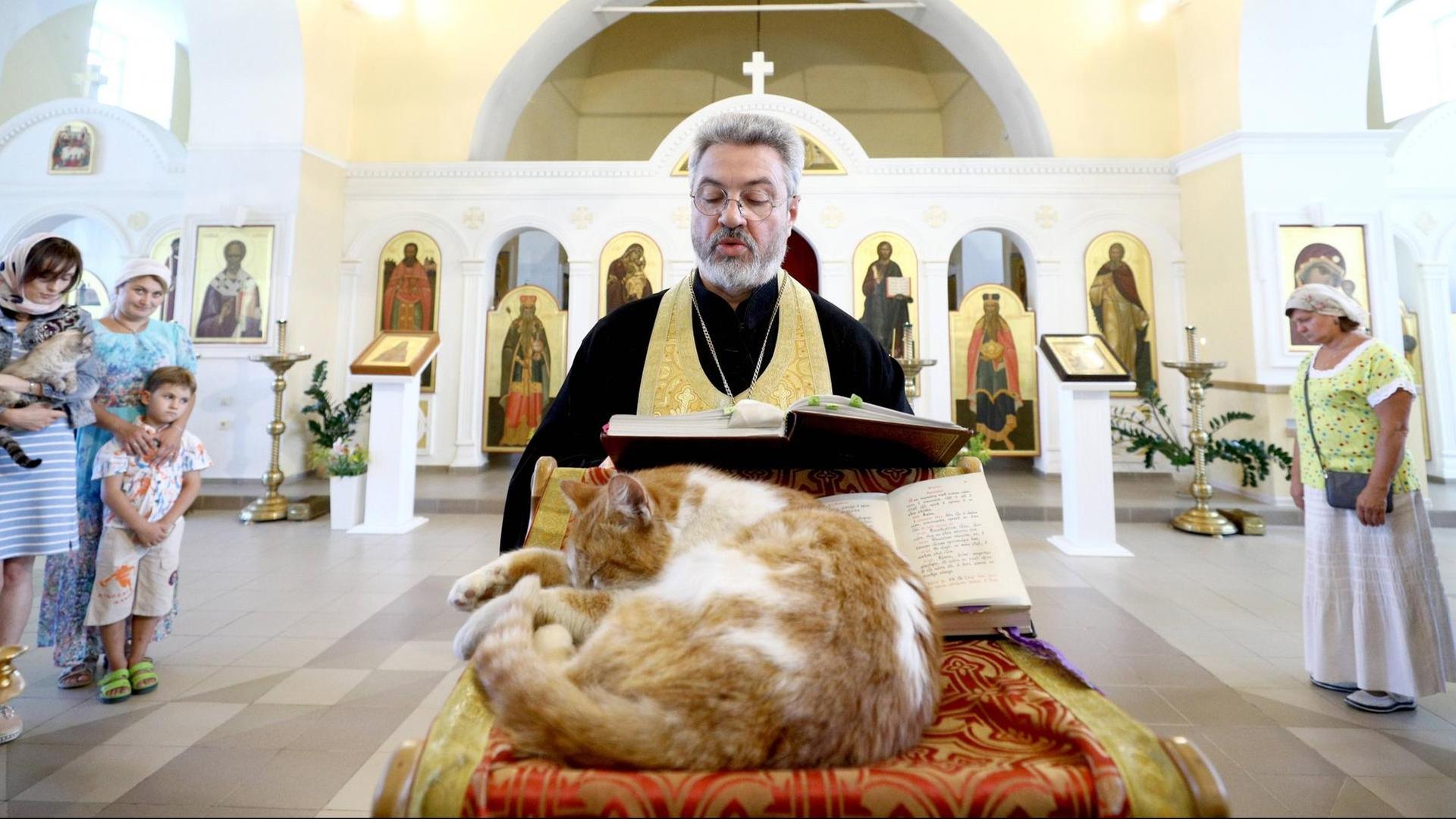 Eine Katze liegt in einer Kirche vor einem Priester, der in der Bibel liest.