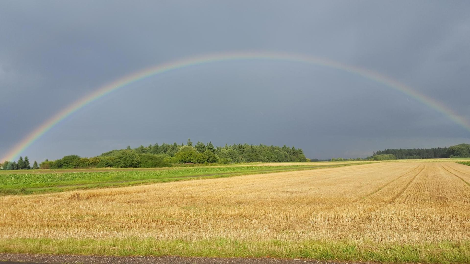 Ein riesiger Regenbogen über einem Feld. Ein riesiger Regenbogen über einem Feld.