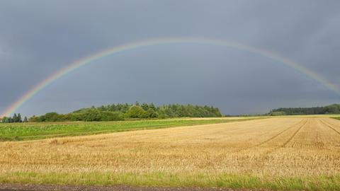 Ein riesiger Regenbogen über einem Feld.