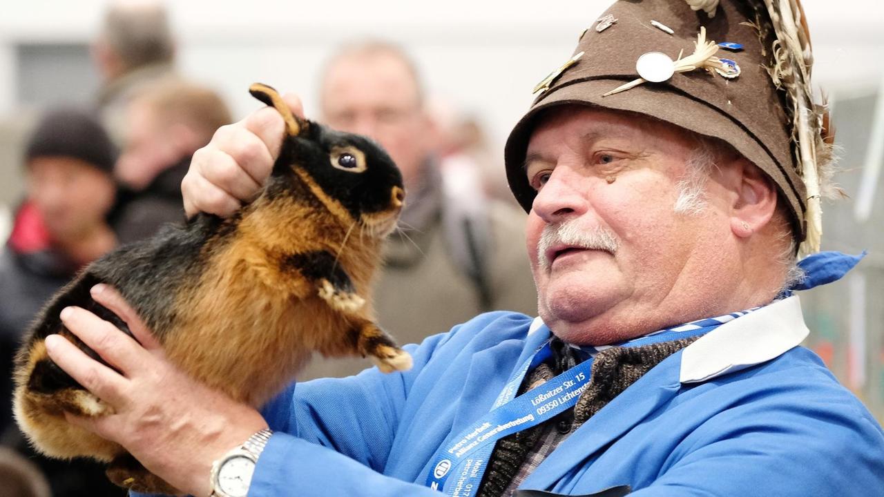 Ein Mann hält ein Kaninchen auf einer Kaninchenschau hoch. Ein Mann hält ein Kaninchen auf einer Kaninchenschau hoch.