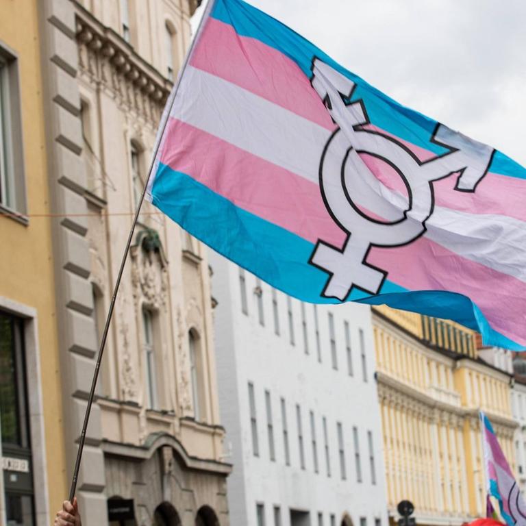Die Fahne weht in pink, blau und weiß mit dem Trans-Symbol über einem Demonstrationszug.