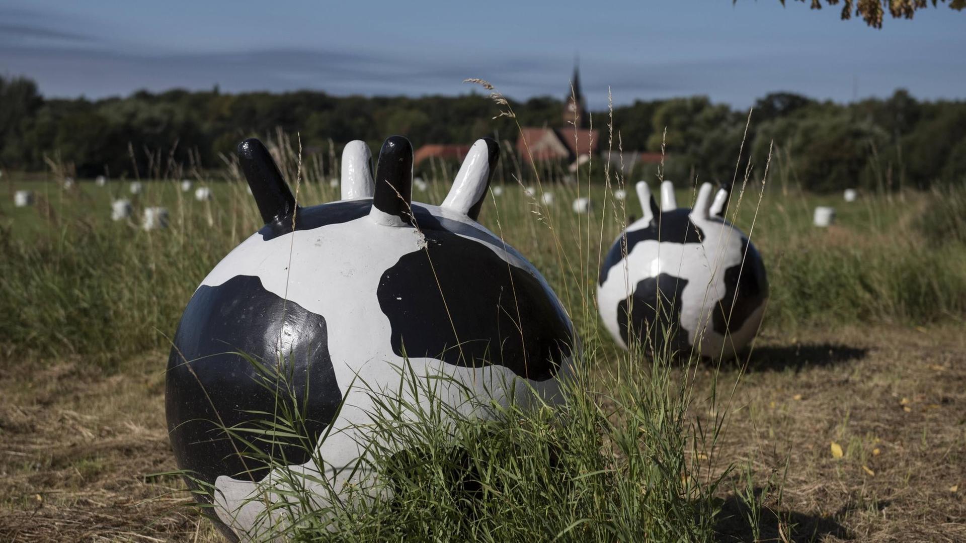 Die Kunstinstallation "Spazierengehen" von der belgischen Künstlerin Silke De Bolle aus Impe-Lede auf einem Feld am Ortsrand von Wiesenburg/Mark im Landkreis Potsdam-Mittelmark, im Hintergrund die Kirche von Wiesenburg. Die Kunstinstallation "Spazierengehen" von der belgischen Künstlerin Silke De Bolle aus Impe-Lede auf einem Feld am Ortsrand von Wiesenburg/Mark im Landkreis Potsdam-Mittelmark, im Hintergrund die Kirche von Wiesenburg.