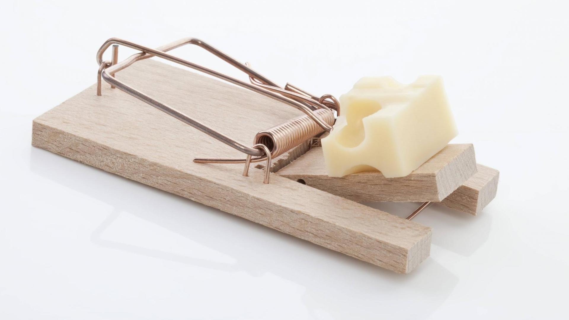 Eine Mausefalle mit einem Stück Käse Eine Mausefalle mit einem Stück Käse