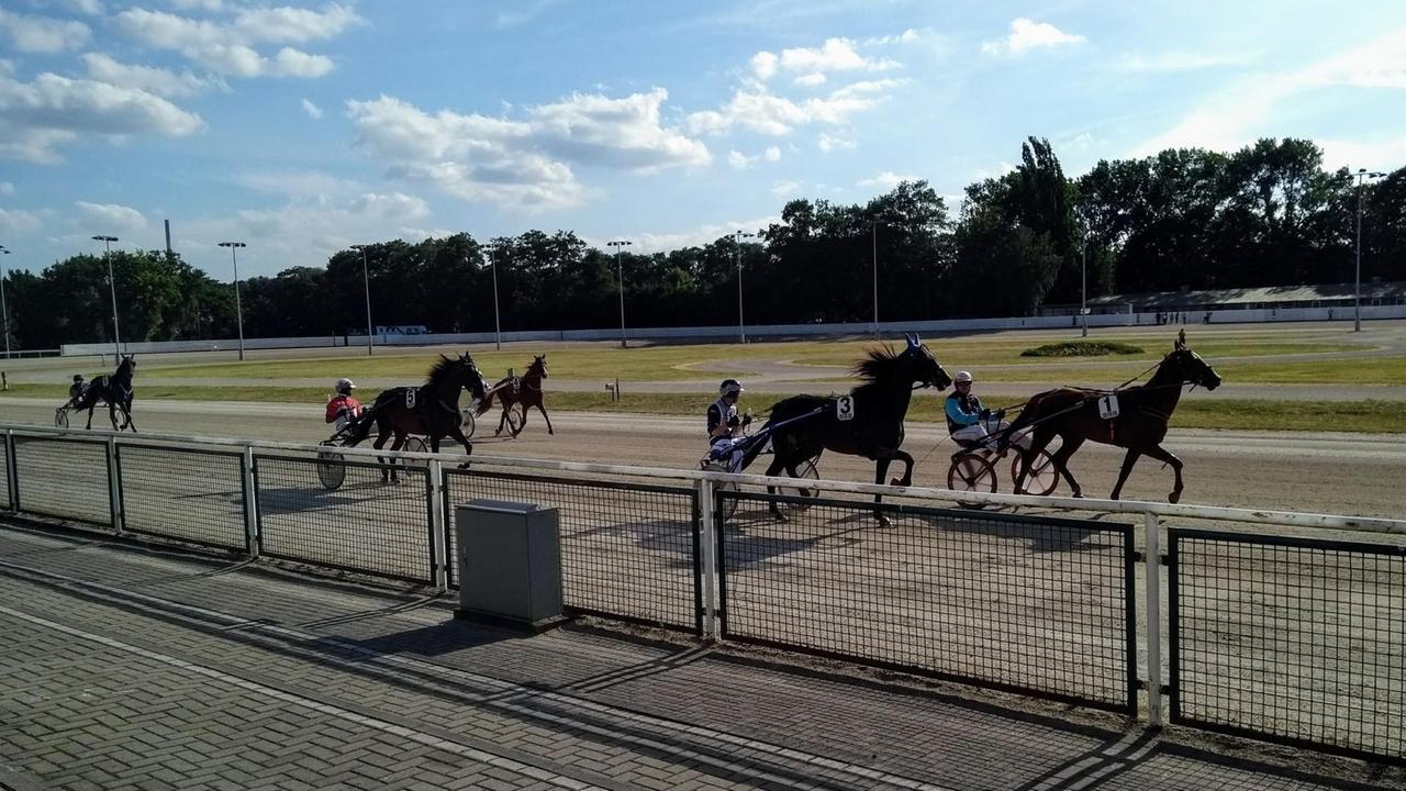 Sulkybetrieb auf der Trabrennbahn in Dinslaken. Foto aufgenommen von der Zuschauertribüne. Sulkybetrieb auf der Trabrennbahn in Dinslaken. Foto aufgenommen von der Zuschauertribüne.