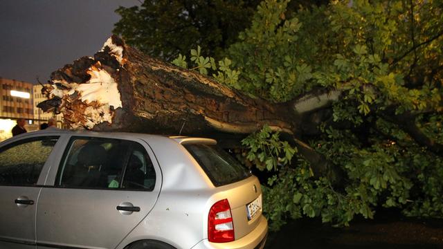 Ein Unwetter hat in der Lindenstraße in Düsseldorf am 09.06.2014 Bäume umgestürzt und zahlreiche Autos beschädigt.