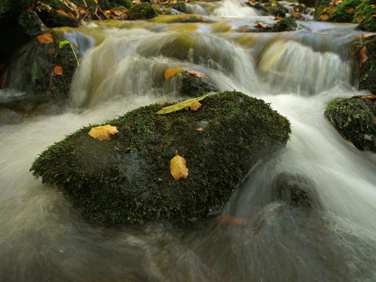 Der Fluss Nidda im Vogelsberg