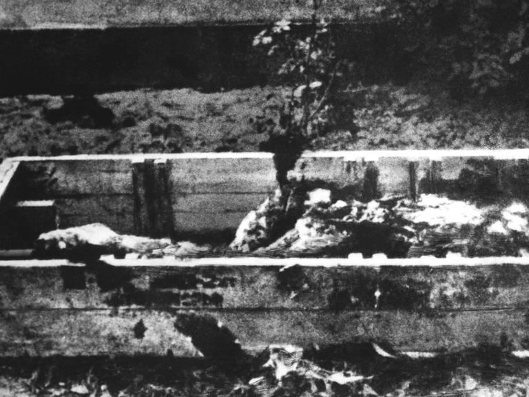 Das Bild zeigt die angebliche verkohlte Leiche Adolf Hitlers. Nach dem gemeinsamen Selbstmord am 30. April 1945 von Adolf Hitler und seiner Ehefrau Eva Braun (Heirat am 29. April 1945) wurden beide Leichen nach der Aussage von Kempka, dem langjährigen Fahrer von Hitler, durch diesen im Garten der Reichskanzlei nach Übergießen mit Benzin verbrannt.