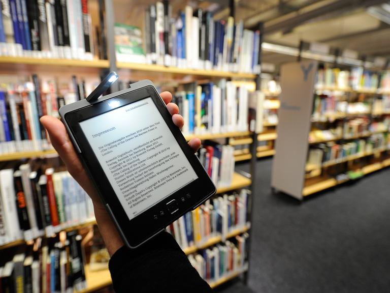 Ein ausgeliehenes E-Book wird am 04.12.2012 in Hamburg in der Zentralbibliothek auf einem sogenannten E-Reader angezeigt.