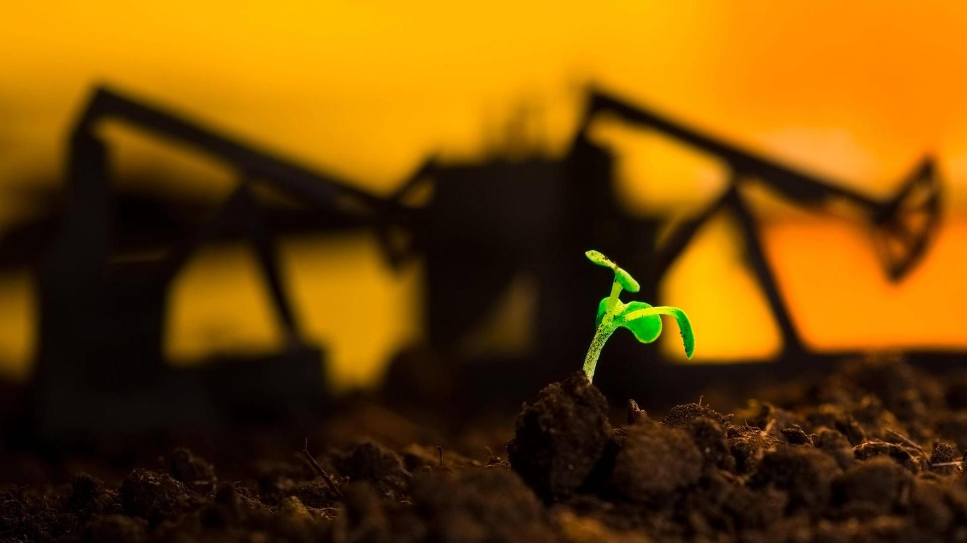 Eine kleine grüne Pflanze vor dem Hintergrund einer Ölraffinerie Eine kleine grüne Pflanze vor dem Hintergrund einer Ölraffinerie