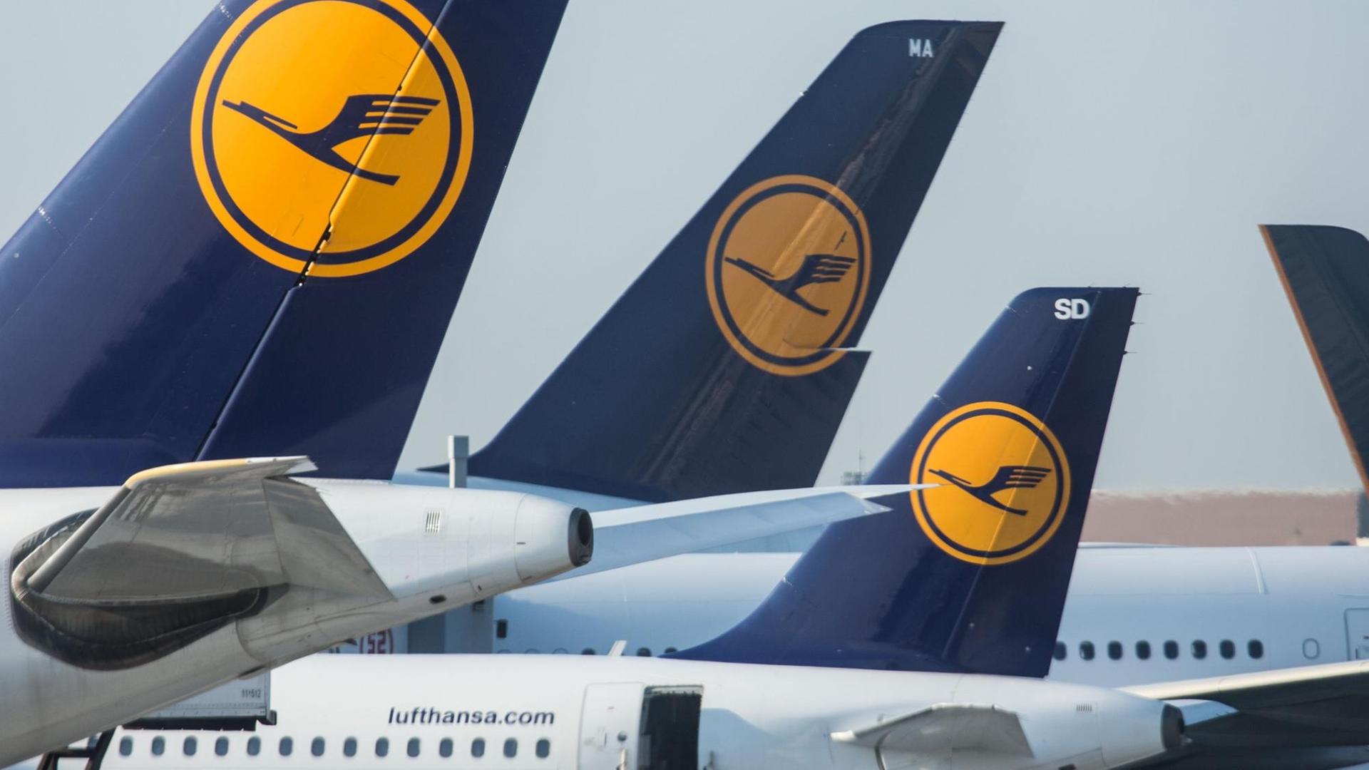 Lufthansa-Maschinen stehen am 09.09.2015 am Flughafen von Frankfurt am Main (Hessen) am Boden.