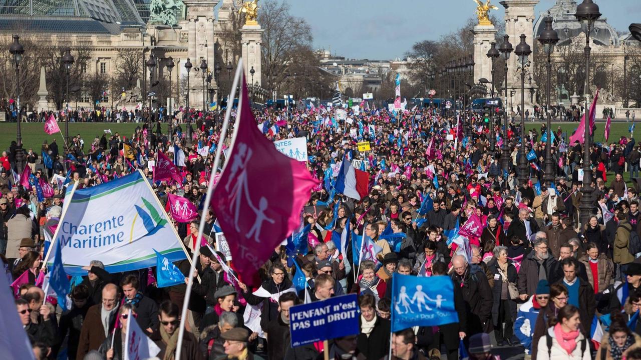Demonstranten in Paris halten pinke und blaue Banner und Transparente in die Luft.