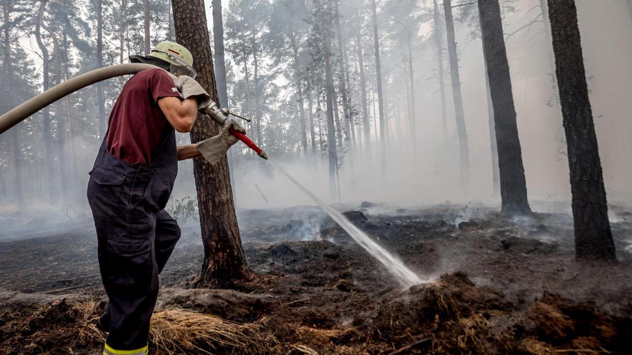 Ein Feuerwehrmann am 24.08.2018 beim Waldbrand in Brandenburg Ein Feuerwehrmann am 24.08.2018 beim Waldbrand in Brandenburg