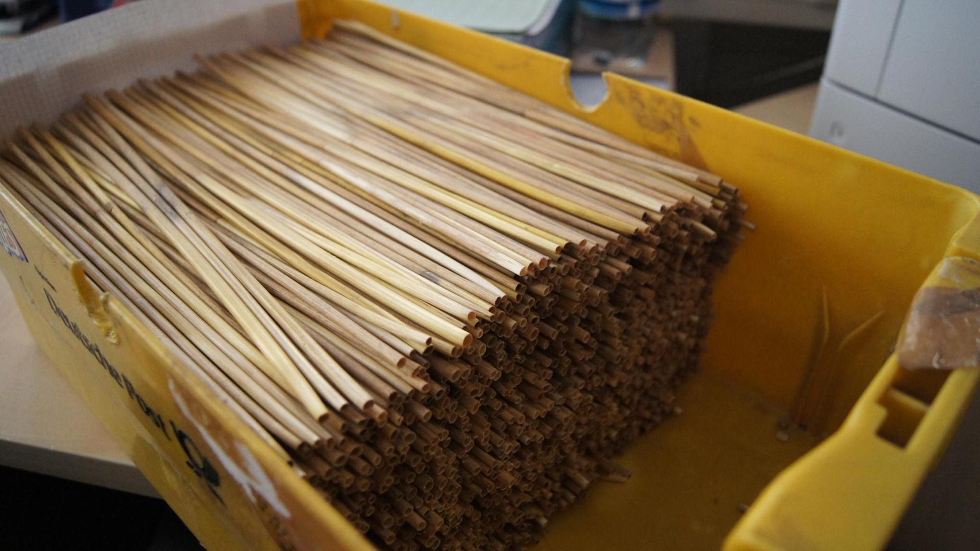 Halme aus Roggenstroh Halme aus Roggenstroh