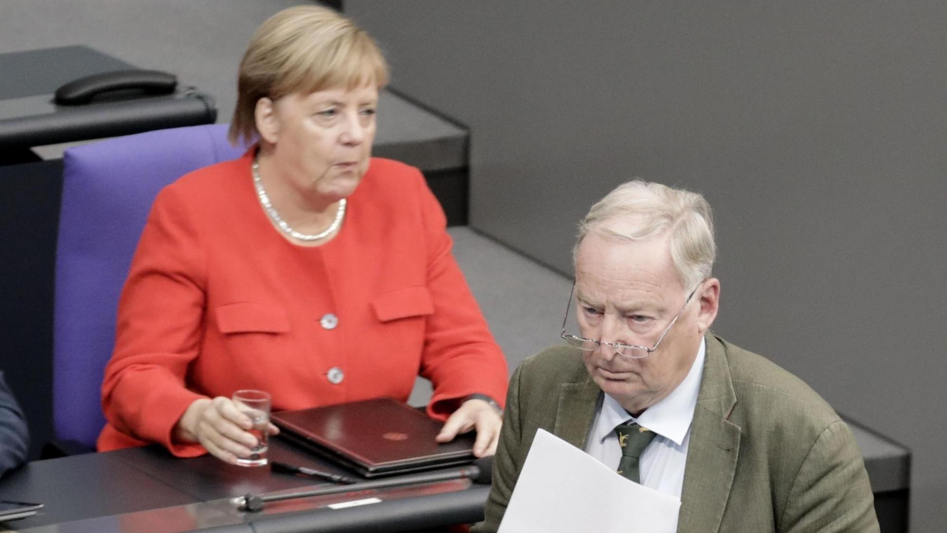 Alexander Gauland, Fraktionsvorsitzender der AfD, geht nach seiner Rede bei der Generaldebatte im Deutschen Bundestag an Bundeskanzlerin Angela Merkel (CDU) vorbei. Hauptthema der 48. Sitzung der 19. Legislaturperiode ist der von der Bundesregierung eingebrachte Entwurf des Bundeshaushaltsplans 2019 und der Finanzplan des Bundes 2018 bis 2022 mit der Generaldebatte zum Etat des Bundeskanzleramts. Foto: Kay Nietfeld/dpa | Verwendung weltweit Alexander Gauland, Fraktionsvorsitzender der AfD, geht nach seiner Rede bei der Generaldebatte im Deutschen Bundestag an Bundeskanzlerin Angela Merkel (CDU) vorbei. Hauptthema der 48. Sitzung der 19. Legislaturperiode ist der von der Bundesregierung eingebrachte Entwurf des Bundeshaushaltsplans 2019 und der Finanzplan des Bundes 2018 bis 2022 mit der Generaldebatte zum Etat des Bundeskanzleramts. Foto: Kay Nietfeld/dpa | Verwendung weltweit