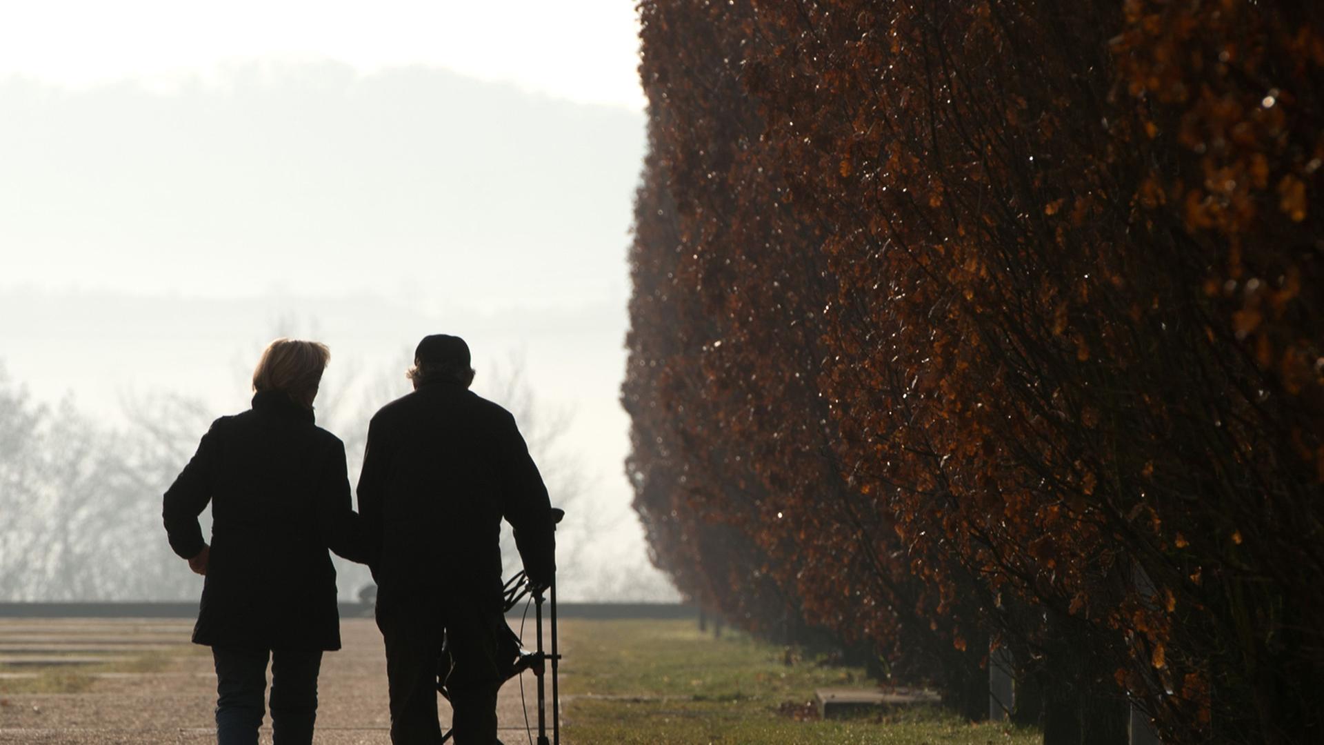 Zwei Spaziergänger gehen am 13.01.2014 in Ostfildern bei Stuttgart (Baden-Württemberg) durch den Scharnhauser Park, einer von ihnen nutzt einen Rollator. Zwei Spaziergänger gehen am 13.01.2014 in Ostfildern bei Stuttgart (Baden-Württemberg) durch den Scharnhauser Park, einer von ihnen nutzt einen Rollator.