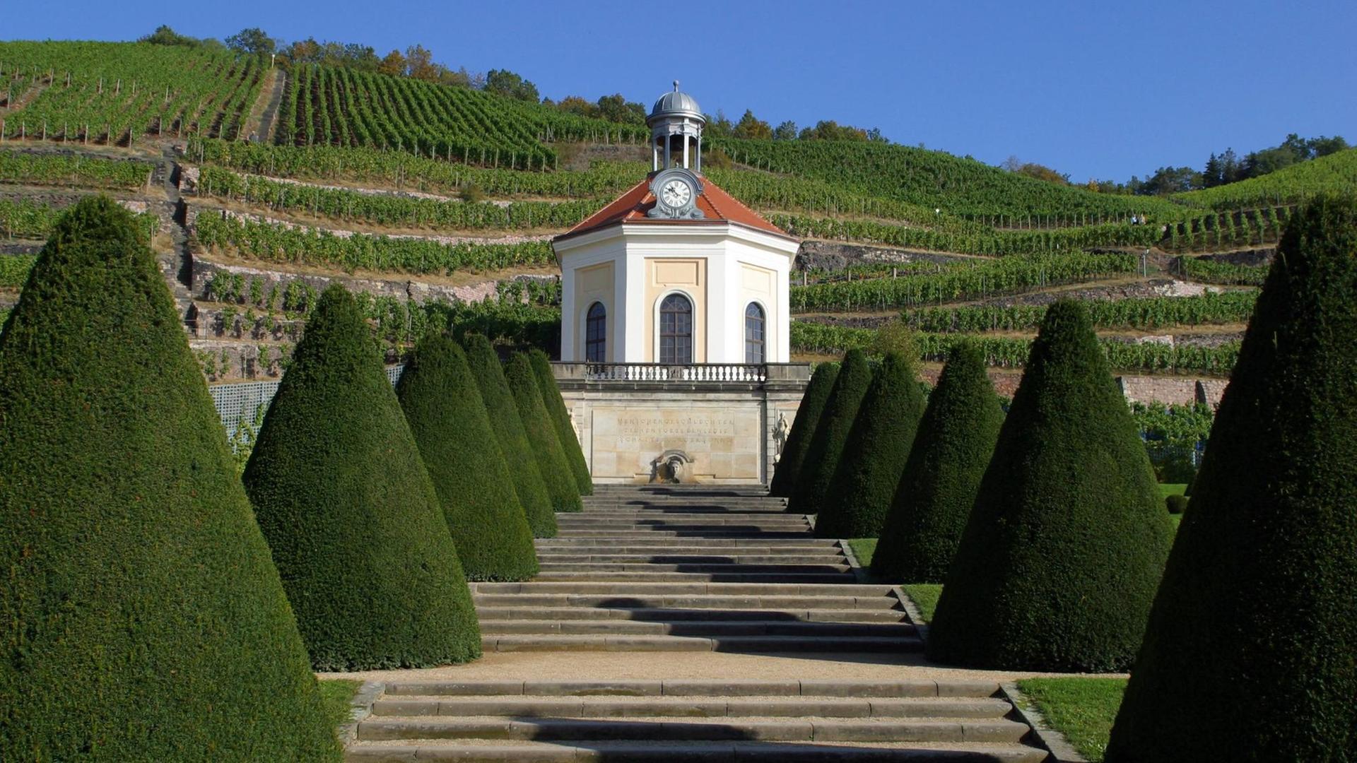 Blick auf die Weinberge von Schloss Wackerbart in Radebeul. Blick auf die Weinberge von Schloss Wackerbart in Radebeul.