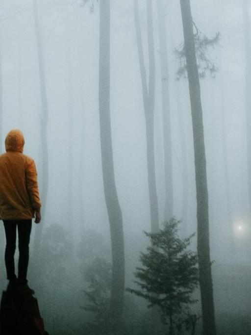 Ein junger Mann steht auf einem Stein in einem Wald im Nebel.