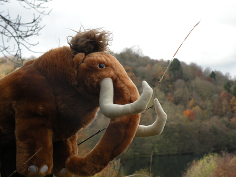Noch ist das Mammut eher symbolisch zurückgekehrt. Noch ist das Mammut eher symbolisch zurückgekehrt.