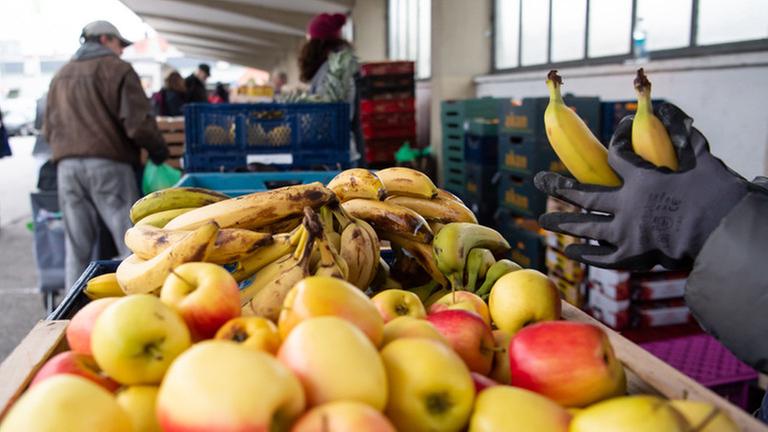 22.11.2019, Bayern, München: Ehrenamtliche Helfer der Münchner Tafel verteilen an der Ausgabestelle am Großmarkt Lebensmittel an die Gäste. Bei den rund 170 Tafeln in Bayern verteilen etwa 7000 meist ehrenamtliche Helfer gespendete Lebensmittel an bedürftige Menschen. Foto: Sven Hoppe/dpa | Verwendung weltweit 22.11.2019, Bayern, München: Ehrenamtliche Helfer der Münchner Tafel verteilen an der Ausgabestelle am Großmarkt Lebensmittel an die Gäste. Bei den rund 170 Tafeln in Bayern verteilen etwa 7000 meist ehrenamtliche Helfer gespendete Lebensmittel an bedürftige Menschen. Foto: Sven Hoppe/dpa | Verwendung weltweit