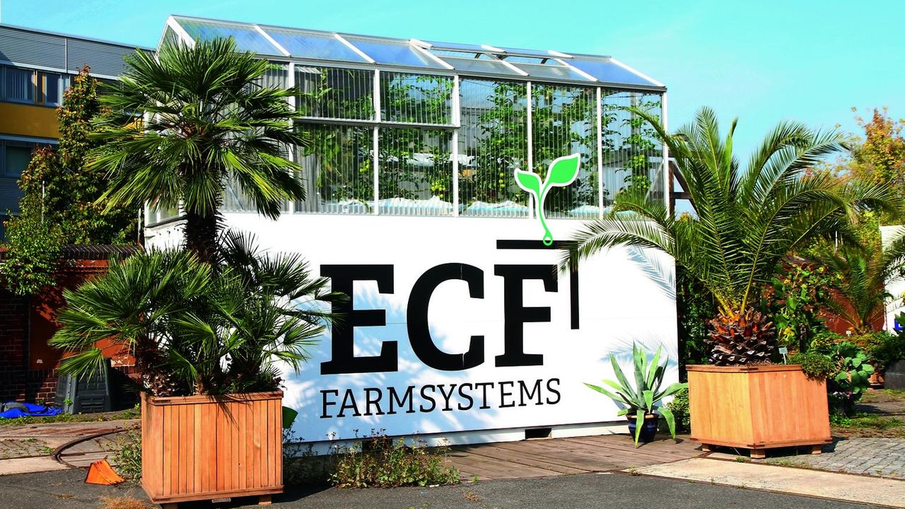 Container der alten Stadtfarm der ECF Farmsystems GmbH auf dem Gelände der alten Malzfabrik in Berlin-Tempelhof. Das Unternehmen plant und baut Farmen, mit denen man mitten in der Stadt nachhaltig und ohne den Einsatz von Pestiziden und chemischem Dünger Fisch aufziehen und Gemüse anbauen kann. Eine ECF-Farm kann auf einer Brachfläche errichtet oder als Dachfarm in ein Bestandgebäude integriert werden. Mehr als 400 Pflanzensorten gedeihen in den Farmen, als Fische eignen sich Süßwasserfische, vor allem Zander und Barsche. Container der alten Stadtfarm der ECF Farmsystems GmbH auf dem Gelände der alten Malzfabrik in Berlin-Tempelhof. Das Unternehmen plant und baut Farmen, mit denen man mitten in der Stadt nachhaltig und ohne den Einsatz von Pestiziden und chemischem Dünger Fisch aufziehen und Gemüse anbauen kann. Eine ECF-Farm kann auf einer Brachfläche errichtet oder als Dachfarm in ein Bestandgebäude integriert werden. Mehr als 400 Pflanzensorten gedeihen in den Farmen, als Fische eignen sich Süßwasserfische, vor allem Zander und Barsche.