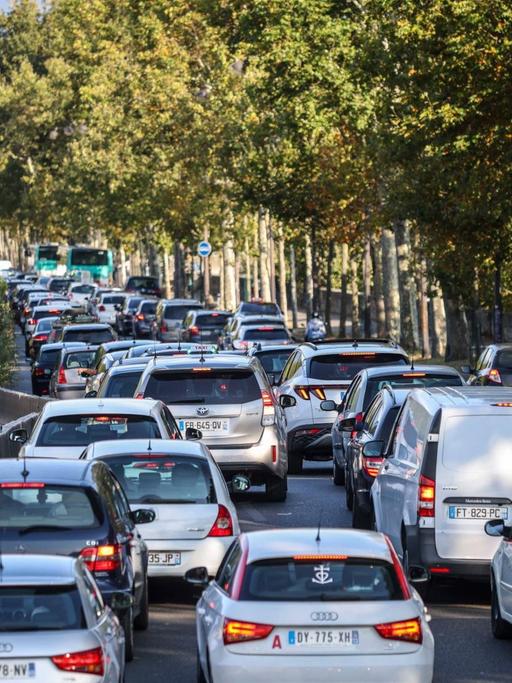 Blick auf eine Straße in Paris: rechts fahren Autos, links fahren Menschen auf Fahrrädern auf einem Radweg