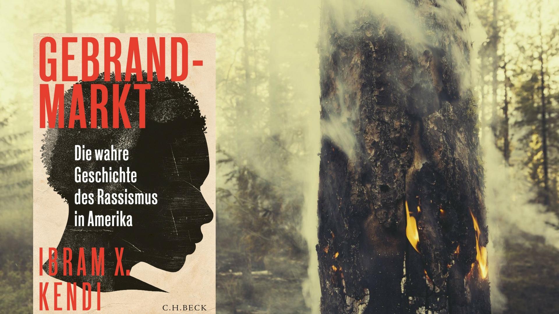 Buchcover: Ibram X. Kendi: "Gebrandmarkt" Buchcover: Ibram X. Kendi: "Gebrandmarkt"