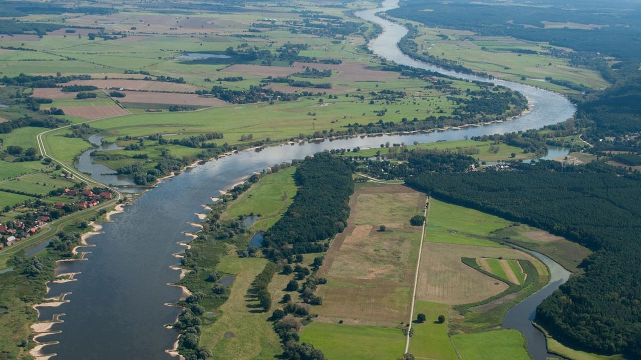 Die Elbe aufgenommen am 27.08.2014 bei Bleckede (Niedersachsen). Die Elbe aufgenommen am 27.08.2014 bei Bleckede (Niedersachsen).