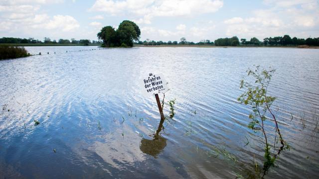 Ein Schild mit der Aufschrift "Befahren der Wiese verboten" steht inmitten einer überschwemmten Weide in Harkenbleck (Niedersachsen), einem Ortsteil von Hemmingen. Dauerregen hat im südlichen Niedersachsen in einigen Orten zu Überschwemmungen geführt.