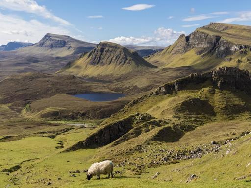 Eine schroffe, aber satt grüne Hügellandschaft, die sich bis zum weiten Horizont zeigt, dient Schafen zur Weide.