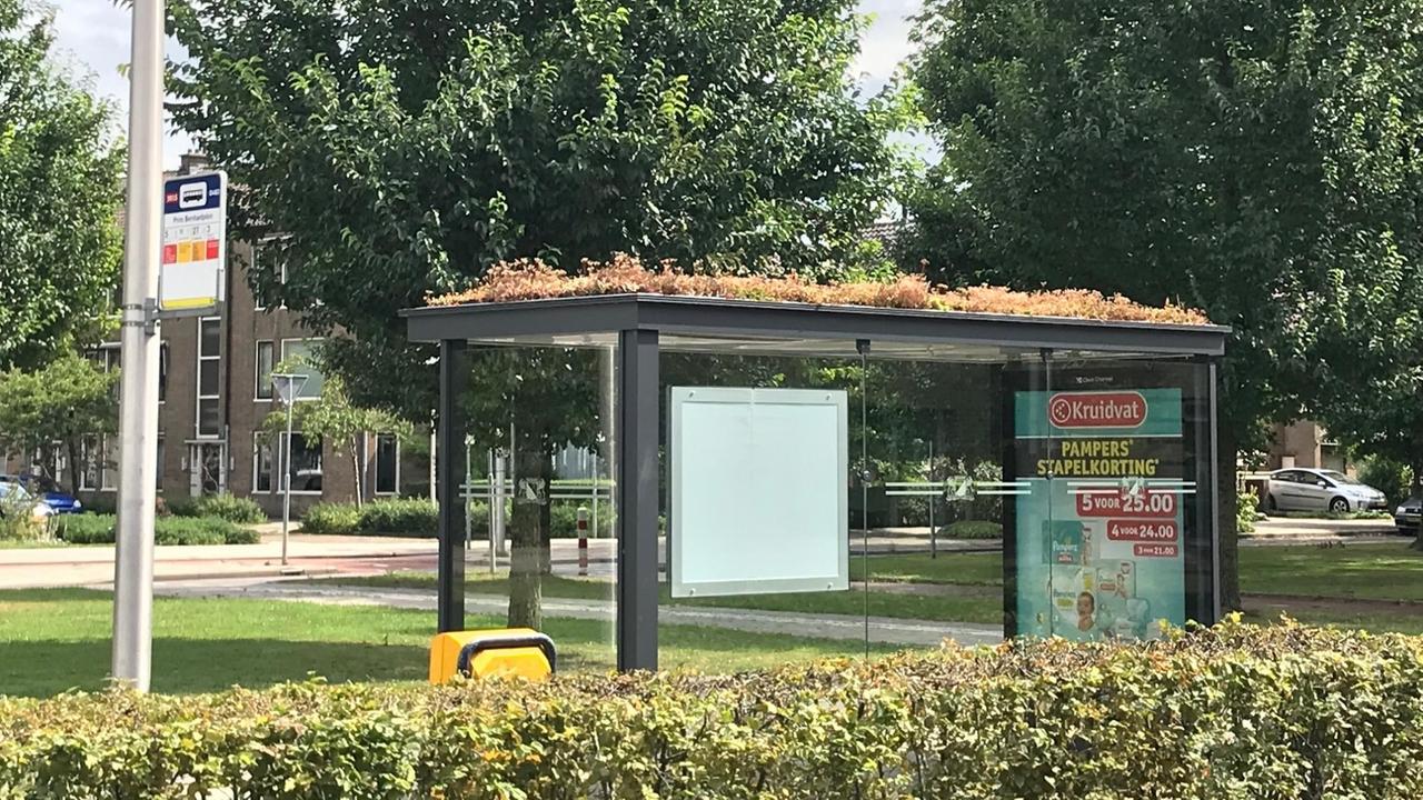 Eine Bushaltestelle in der niederländischen Stadt Utrecht. Das dach der Haltestelle ist bepflanzt und begrünt. Eine Bushaltestelle in der niederländischen Stadt Utrecht. Das dach der Haltestelle ist bepflanzt und begrünt.
