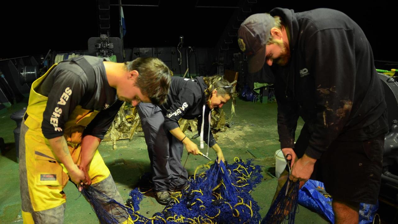 Die Sea-Shepherd-Besatzung zerschneidet illegal ausgelegte Netze. Die Sea-Shepherd-Besatzung zerschneidet illegal ausgelegte Netze.