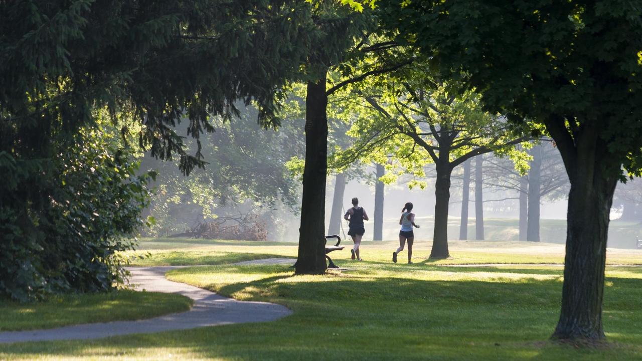 Zwei Joggerinnen laufen durch einen Park.