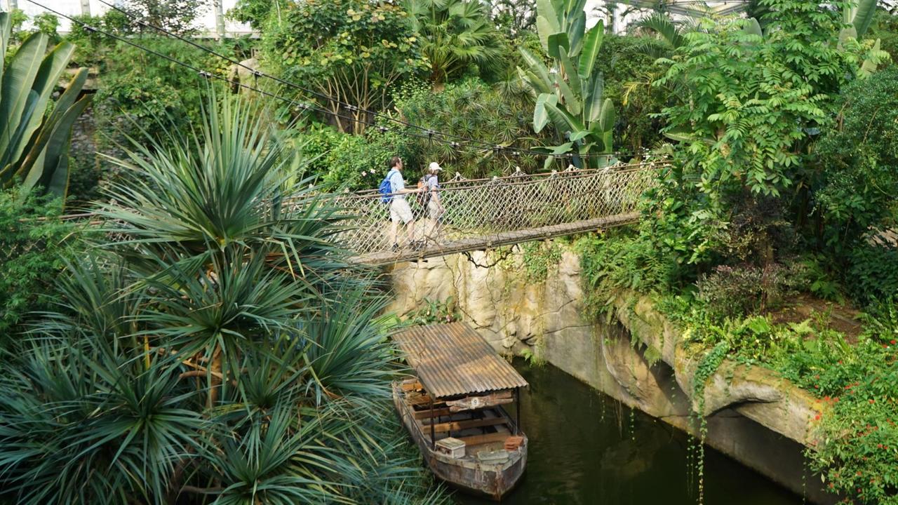 Die Kunst der Kunstfelsenherstellung: Hier der Eingangsbereich zum Gondwana-Land Die Kunst der Kunstfelsenherstellung: Hier der Eingangsbereich zum Gondwana-Land