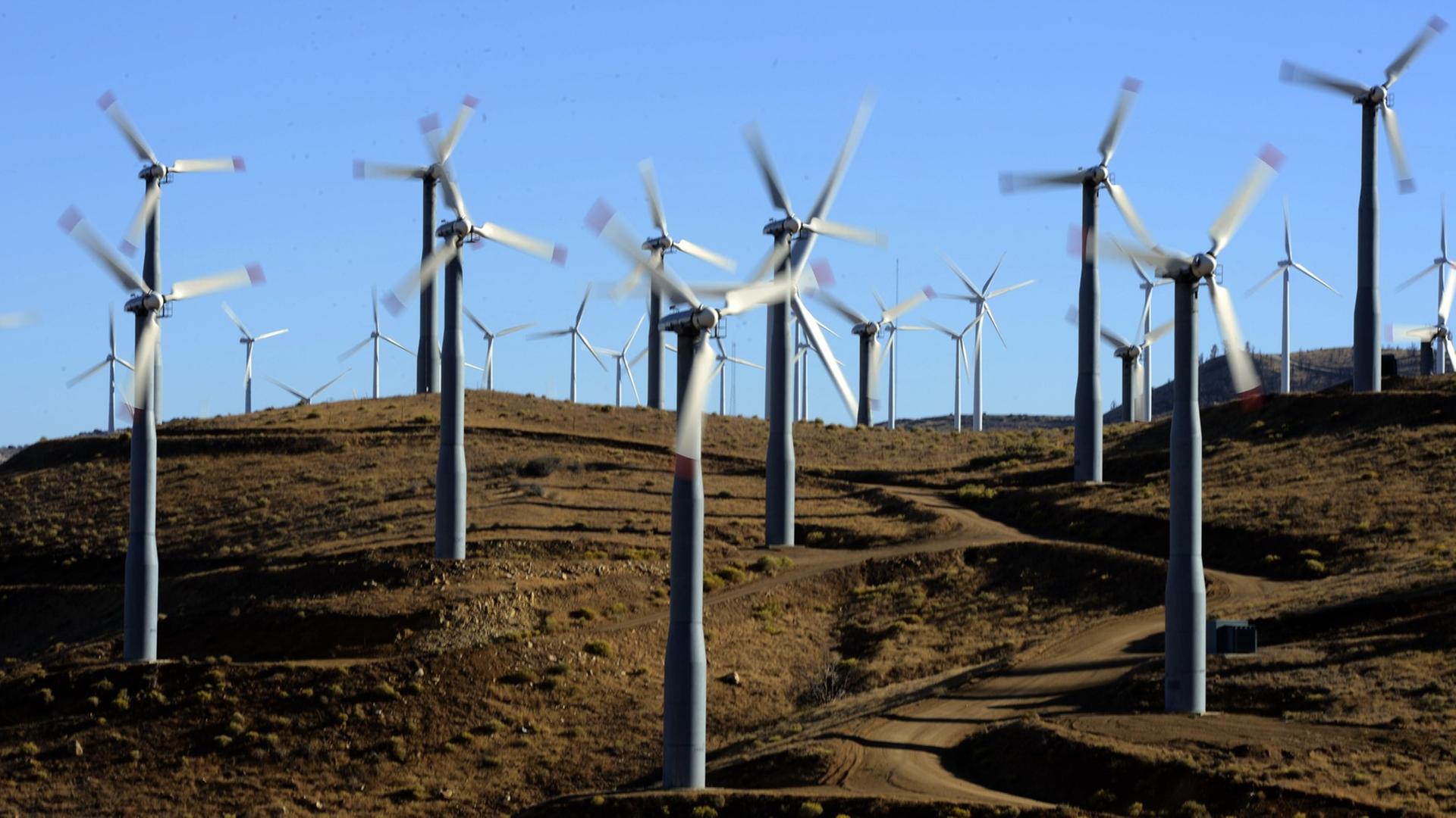 Windkraftpark in Tehachapi in Kalifornien, USA