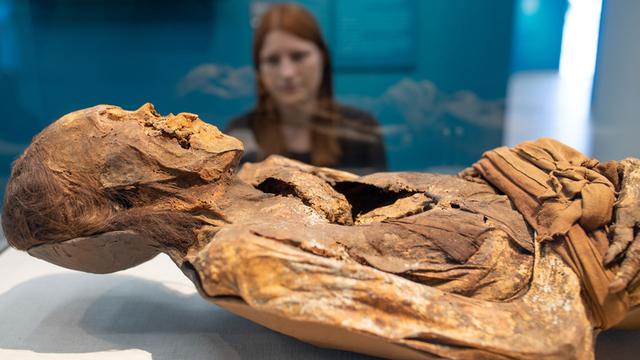 Eine Mumie aus Peru mit dem Titel "Mumie einer Frau mit gekreuzten Unterschenkeln" liegt im Museum Zeughaus der Reiss-Engelhorn-Museen Mannheim in der Sonderausstellung "Mumien– Geheimnisse des Lebens".