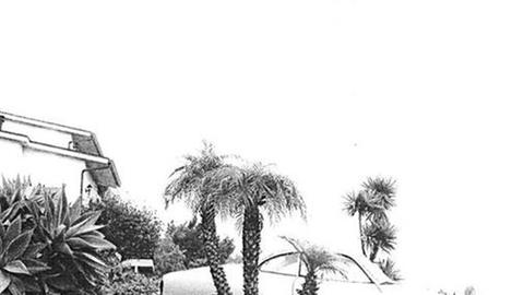 Schwarz-Weiß-Foto von einem hellen Auto, dass in der palmenbewachsenen Auffahrt eines Hauses steht