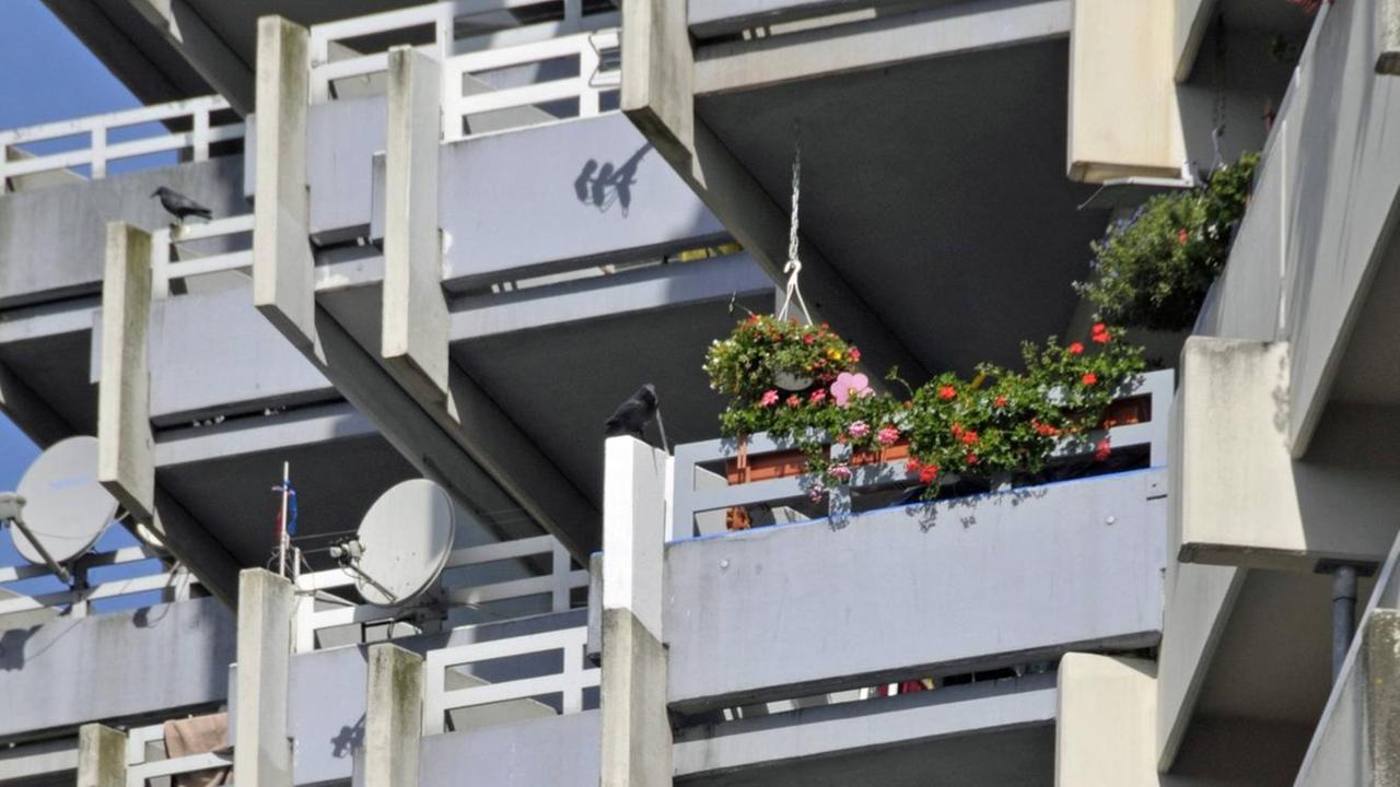 Wohnhochhaus mit Balkonen und Satellitenschüsseln, ein Balkon voll Blumen, Chorweiler in Köln. (Symbolbild)
