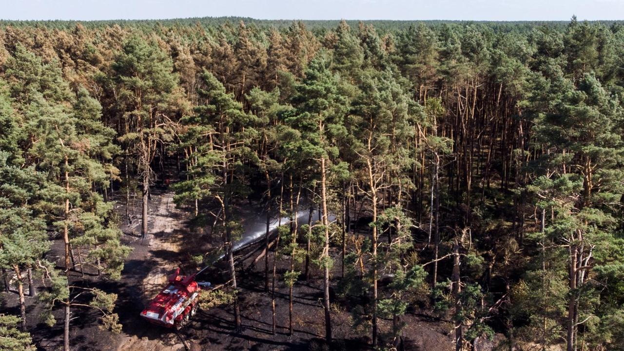 06.07.2018, Mecklenburg-Vorpommern, Groß Laasch: Ein Löschpanzer bekämpft in einem Wald mit Munitionsresten einen Brand (Luftaufnahme mit einer Drohne). Die Löscharbeiten bei einem Waldbrand dauern weiter an. (zu dpa «Großbrand mit Munitionsresten - Panzer löschen bis Sonntag weiter» vom 06.07.2018) Foto: Daniel Bockwoldt/ZB/dpa | Verwendung weltweit 06.07.2018, Mecklenburg-Vorpommern, Groß Laasch: Ein Löschpanzer bekämpft in einem Wald mit Munitionsresten einen Brand (Luftaufnahme mit einer Drohne). Die Löscharbeiten bei einem Waldbrand dauern weiter an. (zu dpa «Großbrand mit Munitionsresten - Panzer löschen bis Sonntag weiter» vom 06.07.2018) Foto: Daniel Bockwoldt/ZB/dpa | Verwendung weltweit