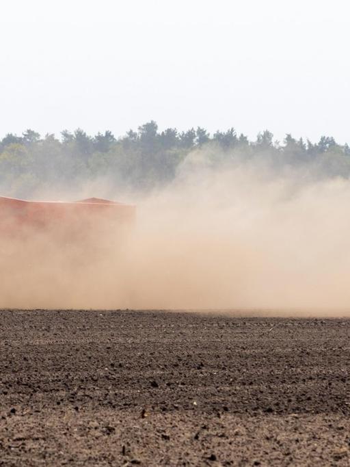 Ein Landwirt pflügt einen Acker in Proschim und wirbelt auf dem trockenen Feld Staub und Sand auf.