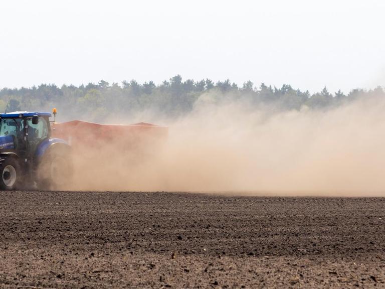 Ein Landwirt pflügt einen Acker in Proschim und wirbelt auf dem trockenen Feld Staub und Sand auf.