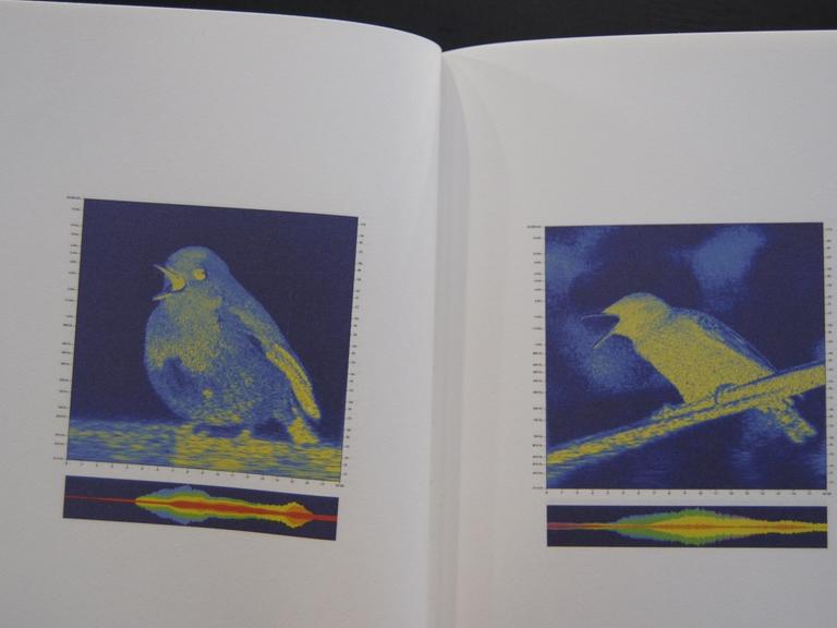 Schönst Buch 2017 "Ornithology"