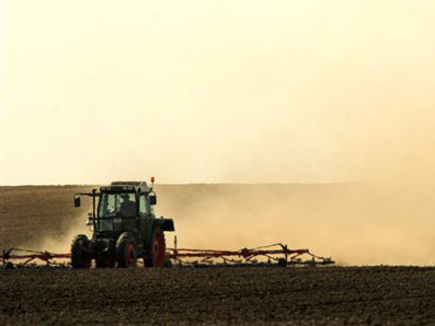Staub statt Ertrag: Feldarbeit bei Brandenburg/Havel. Staub statt Ertrag: Feldarbeit bei Brandenburg/Havel.