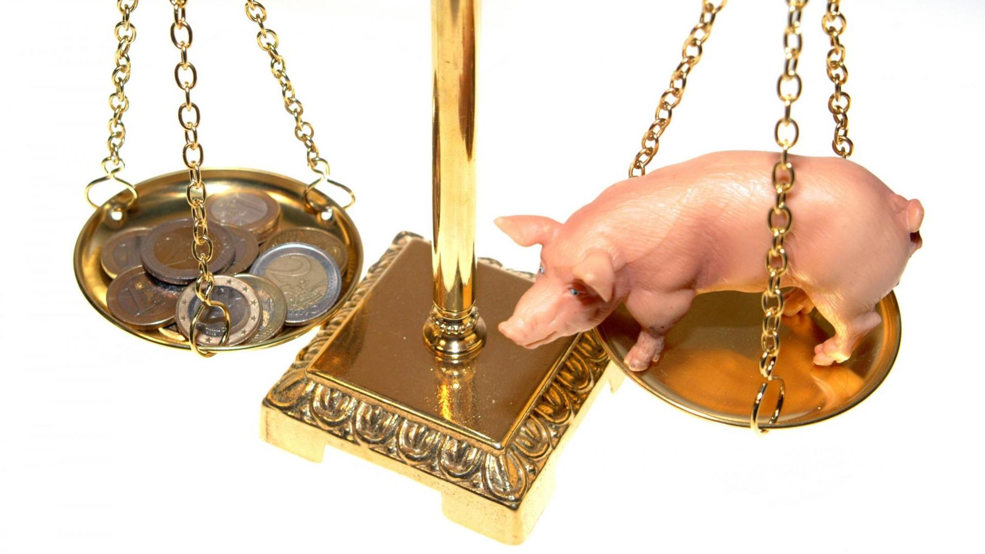 Ein Spielzeugschwein wird auf einer Waage mit Geld aufgewogen Ein Spielzeugschwein wird auf einer Waage mit Geld aufgewogen