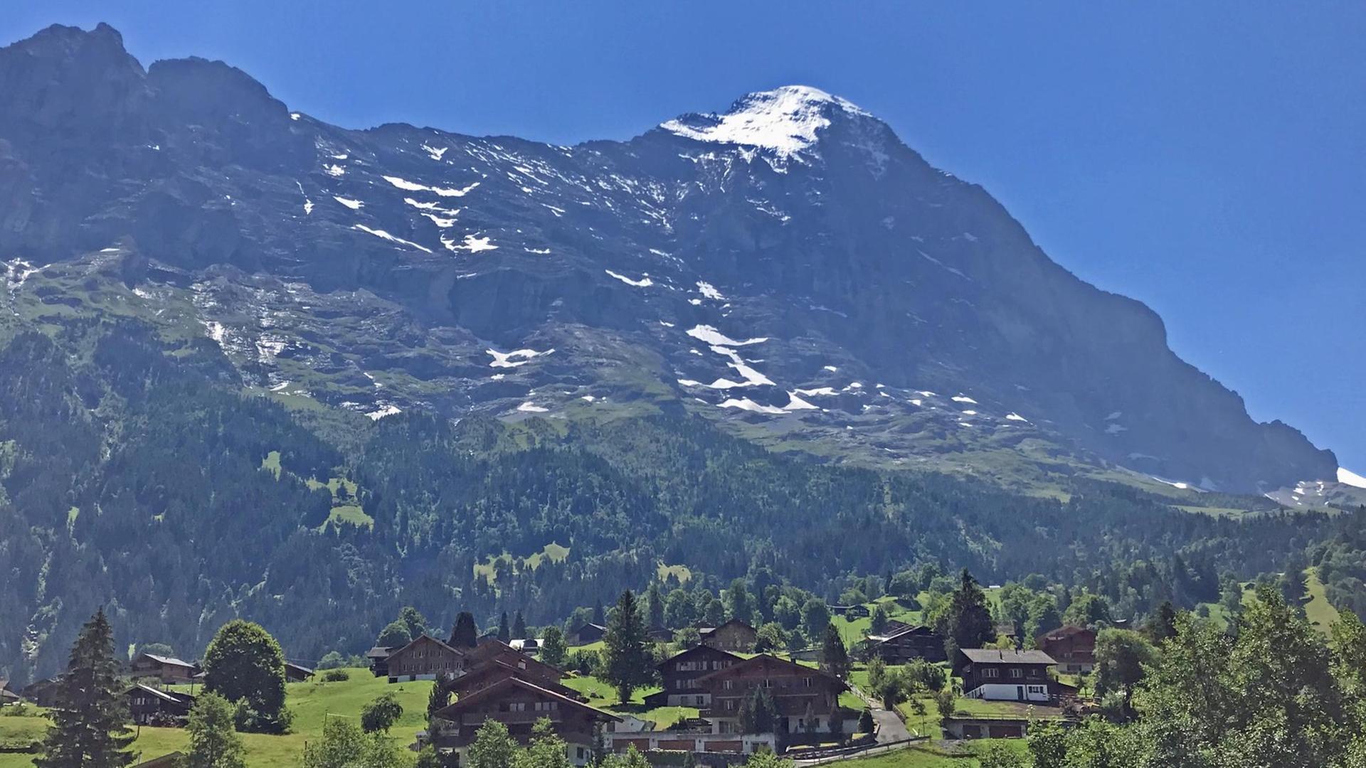 Leider liegt für dieses Bild keine Bildbeschreibung vor Leider liegt für dieses Bild keine Bildbeschreibung vor